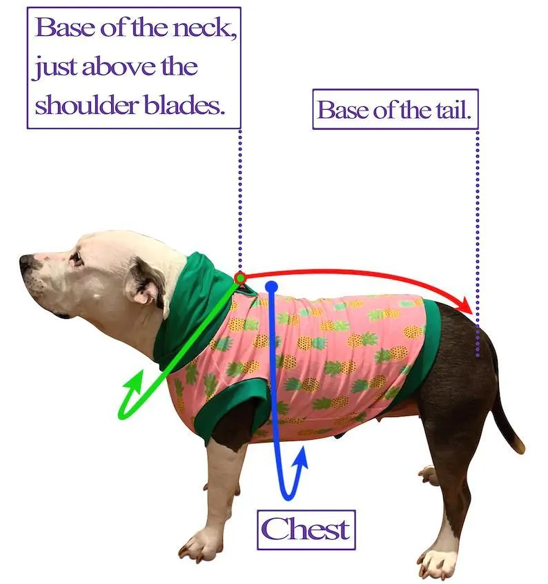 Denim Dog Jacket with Red Hoodie & Sleeves