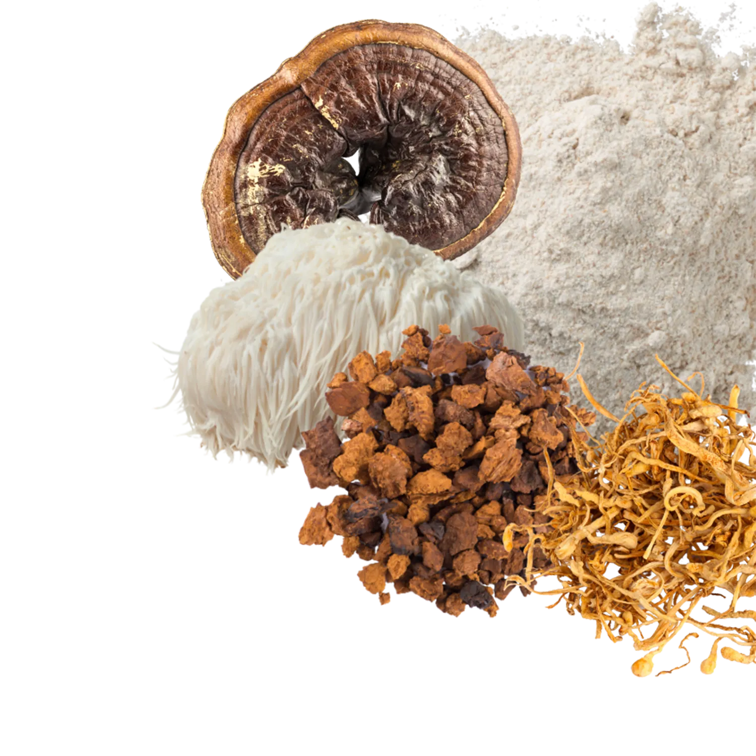 Mushroom Blend Boost